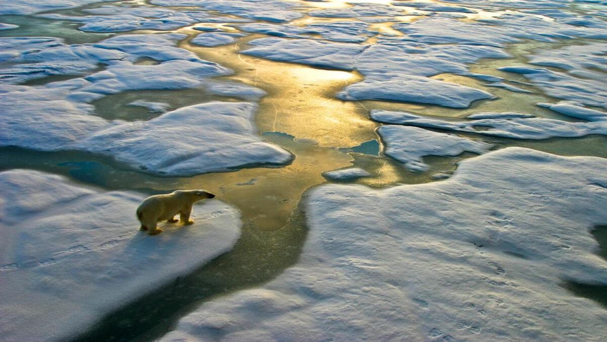 Marine Heatwaves:Arctic Ocean