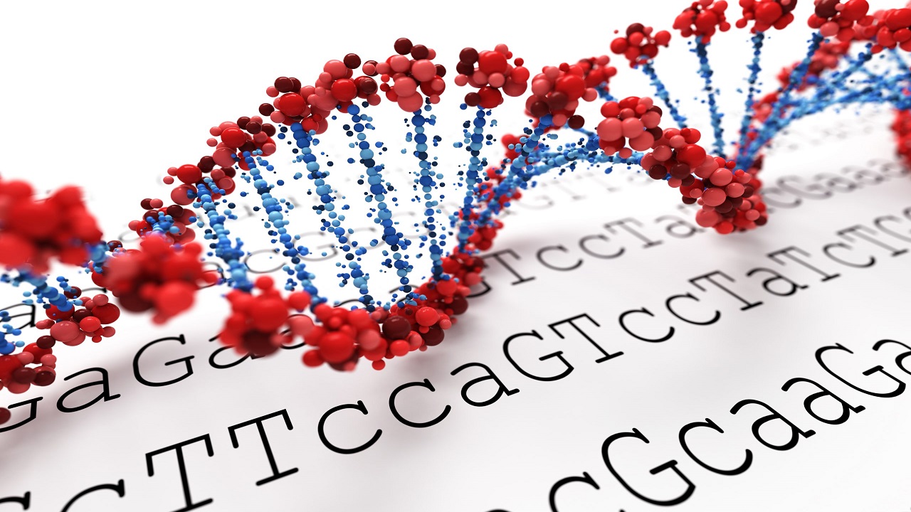 DNA Fingerprinting