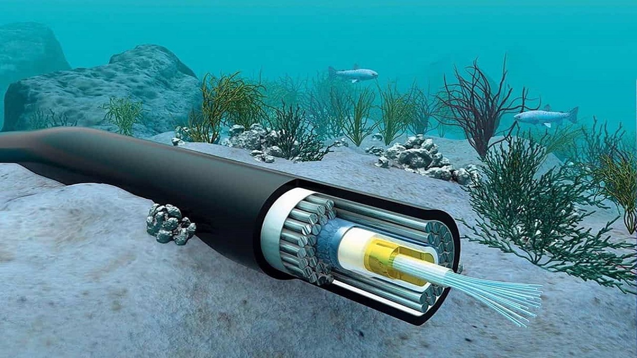 Digital Backbone Beneath the Seas