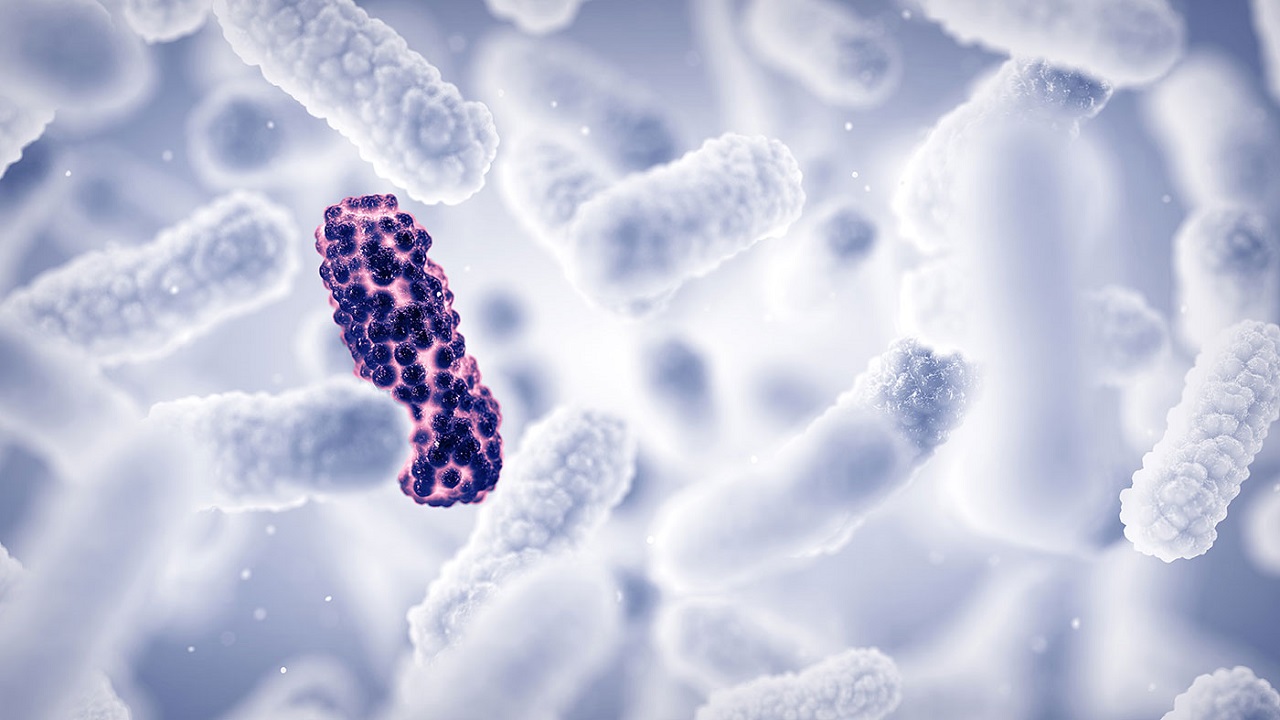 Antimicrobial Resistance in India