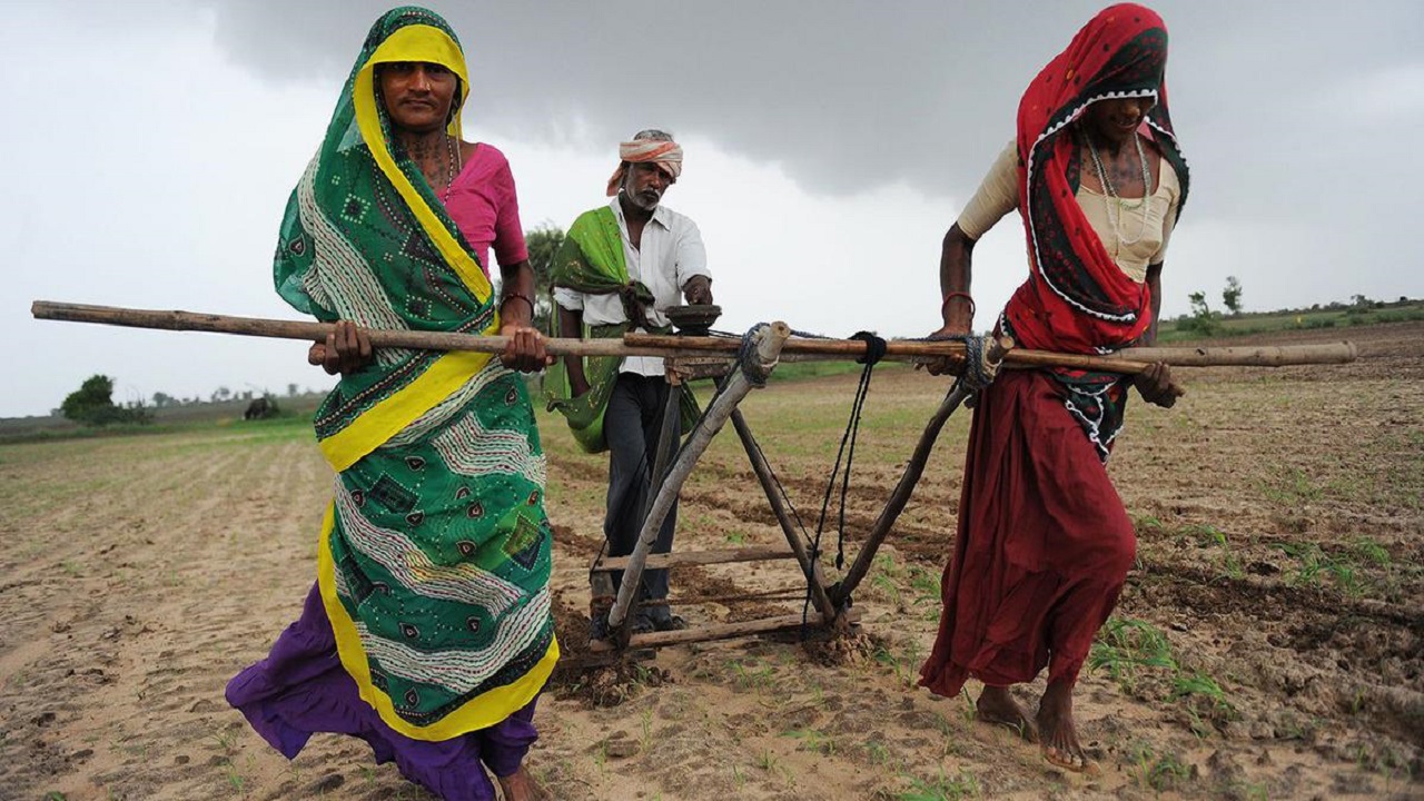 Gender Budget 2025