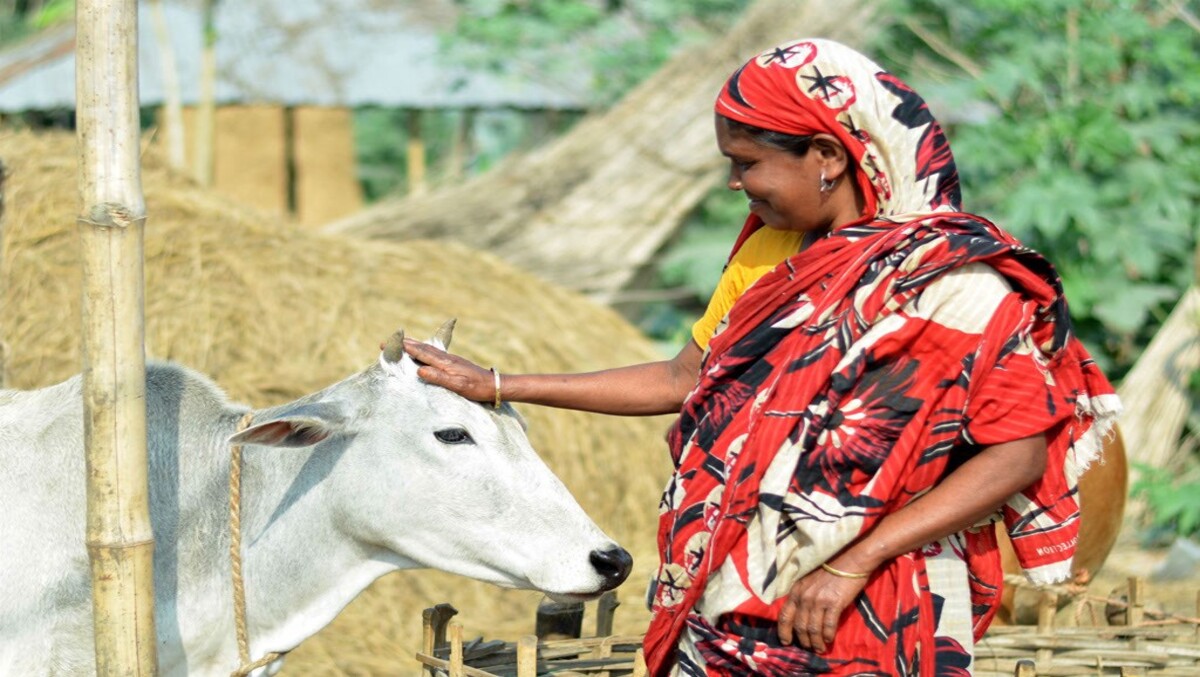  Livestock sector: Role of Women