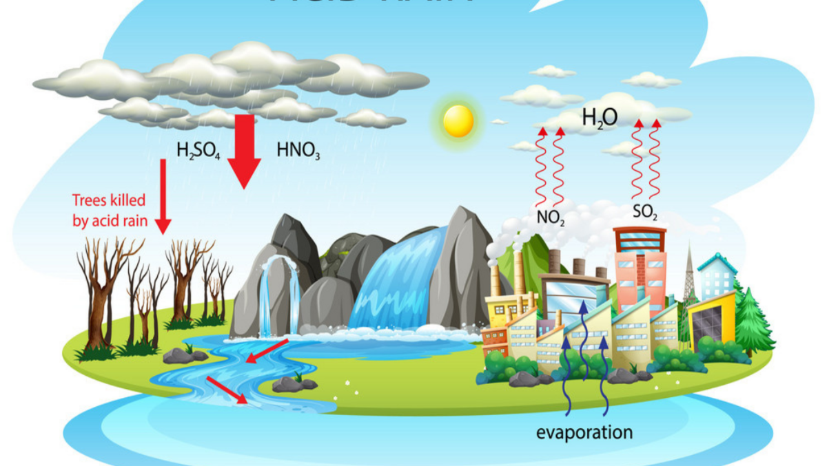 Acid Rain:  Environmental Damages