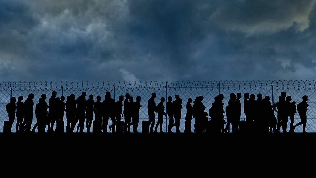 Illegal Immigration